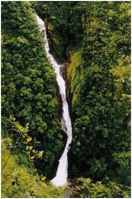Figura 7 - Cachoeira na RPPN Caetezal